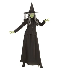 Fairytale Witch kostume