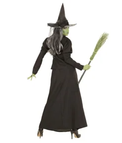 Fairytale Witch kostume