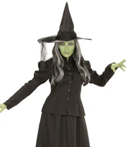 Fairytale Witch kostume