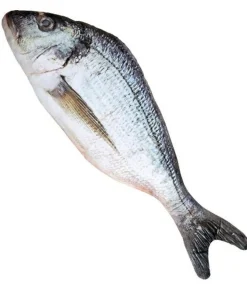 Fisk