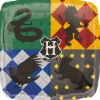 Harry Potter foileballon