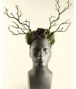 Hårbøjle blomster og grene