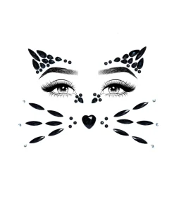 Kat ansigtssten