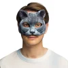 Kat halvmaske