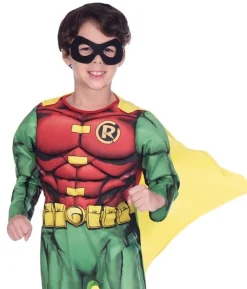 Robin kostume