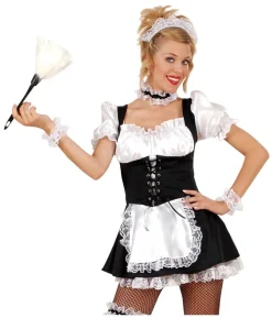 Støvkost