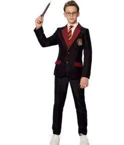 Suitmeister Harry Potter