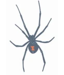Tatovering Black Widow