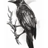Tatovering Goth Raven